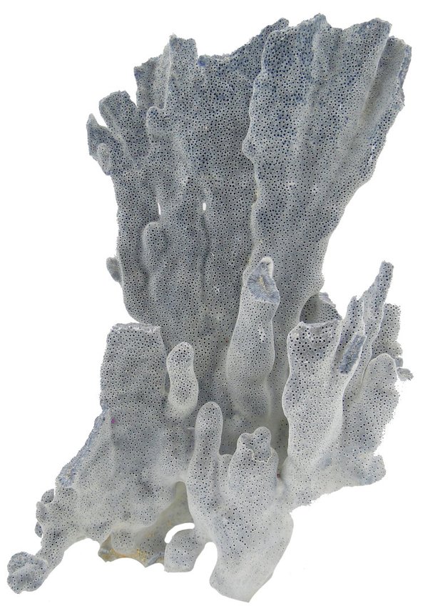 blauer Korallenstamm 24 cm mit 804GR