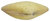 Flussmuschel paphia alapapiöionis 4,5-8 cm
