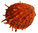 Stachelauster Spondylus barbatus orange 7,5cm