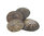 Oval Limpet - Napfschnecken 250 gr