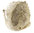 Cassis madagascariensis - Emperor Helmet - RARE in der Größe