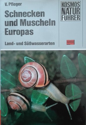 Schnecken und Muscheln Europas