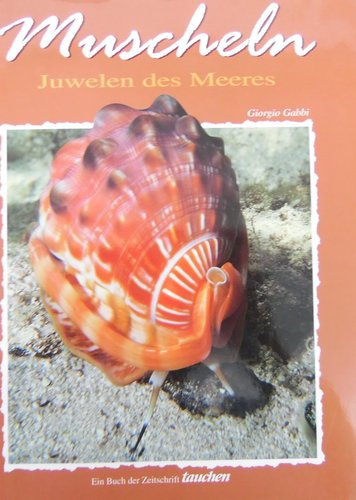 Muscheln - Juwelen des Meeres -gebundene Ausgabe