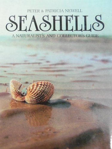 Seashells - a naturalist´s and collector´s Guide