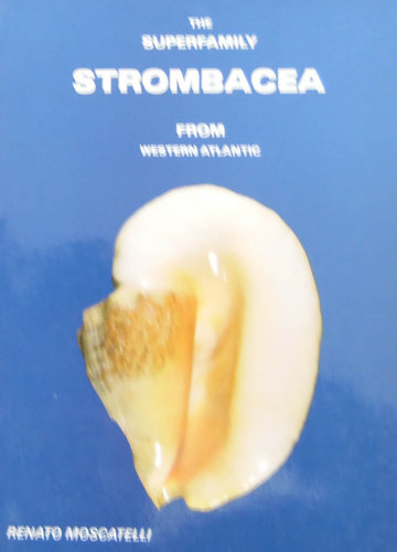The Superfamily Strombacea- broschiert