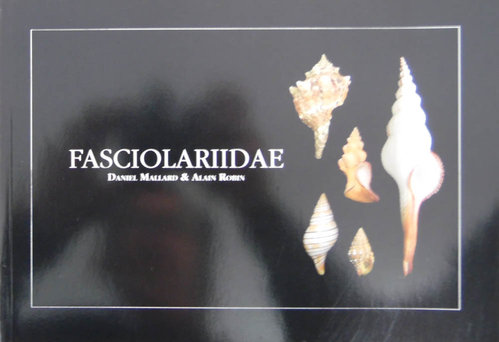 Fasciolariidae - broschiert