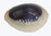 Cypraea obelata nubilis violett 20-25mm