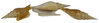Mirabilistrombus listeri -Listers Flügelschnecke ab 12cm