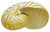 Nautilus Pompelius natur 5,5 cm