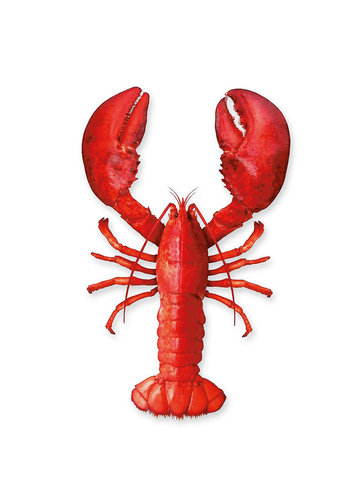 Maritime Küchenartikel ┼ Geschirrtuch / Lobster