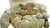 Mega FossilienKiste - versteinerte Muscheln und Ammoniten