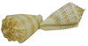 Conus Sulcata ┼ Conidae ┼ von 53mm bis 60mm