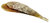 Komplette Steckmuschel, Riesenmuschel, Pinnidae 48cm