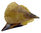 edle Steckmuschel, Riesenmuschel, Pinnidae 26cm