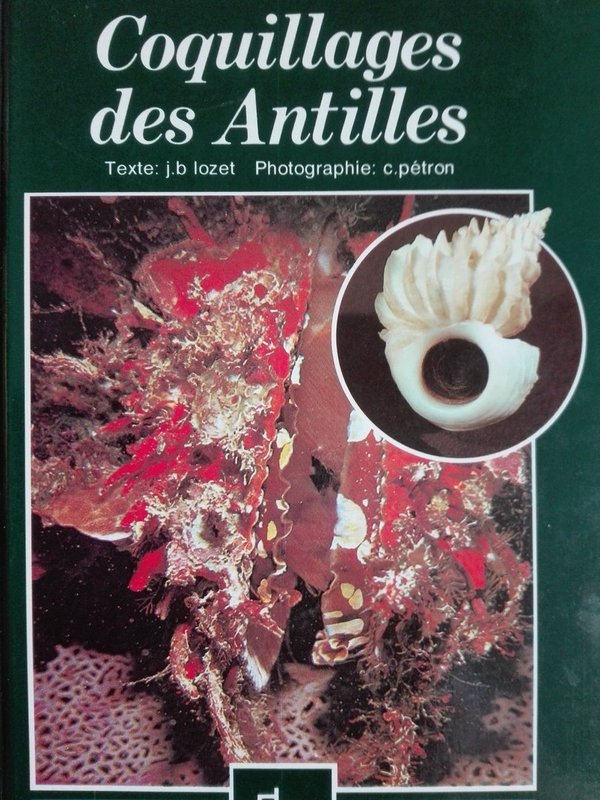 Coquillages des Antilles - gebundene Ausgabe