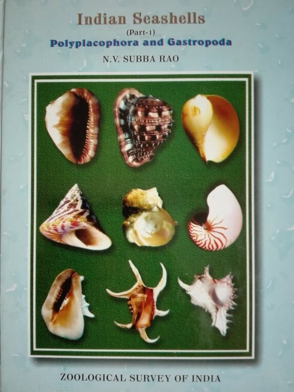 Indian Seashells Polyplacophora and Gastropoda- gebundene Ausgabe