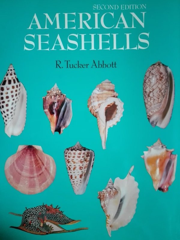 American Seashells- gebundene Ausgabe (SI-B-HH 48)