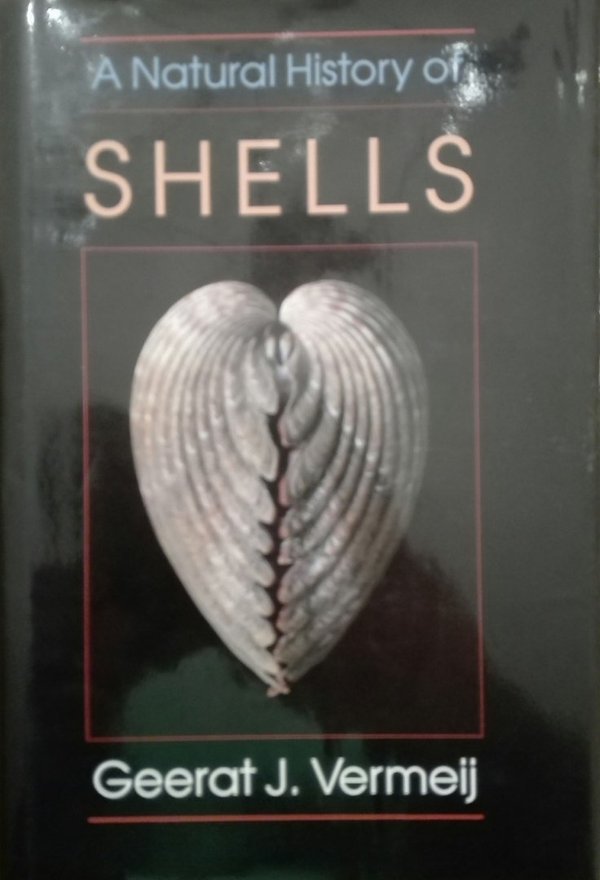 A Natural History of Shells - gebundene Ausgabe
