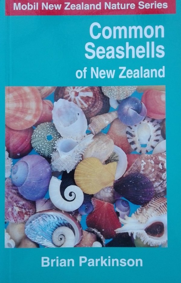 Common Seashells of New Zealand- broschiert