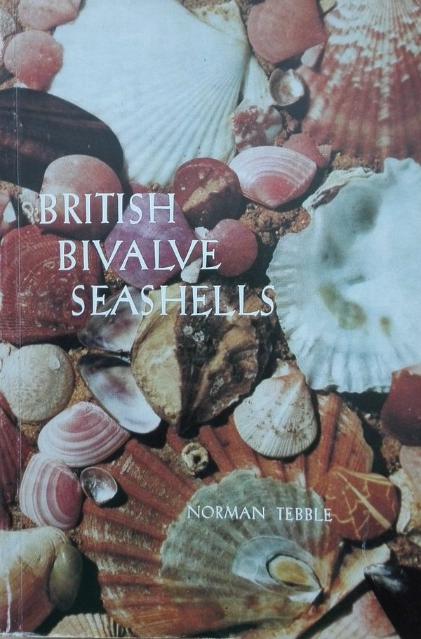 British Bivalve Seashells- broschiert