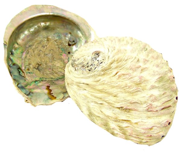Räucherset ┼ Abalone, Sand, weisser Salbei und Palo Santo Sticks
